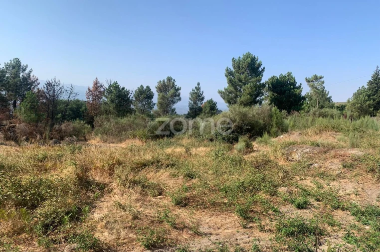 Terreno para Venda em Tavares (Chãs, Várzea e Travanca) Foto 4