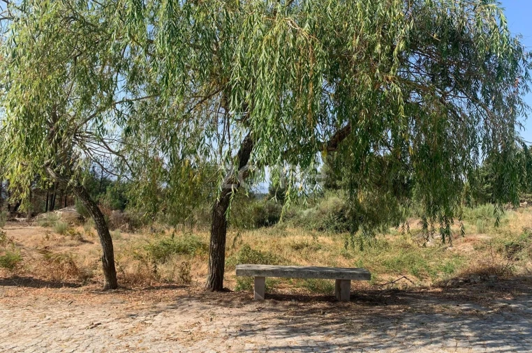 Terreno para Venda em Tavares (Chãs, Várzea e Travanca) Foto 2