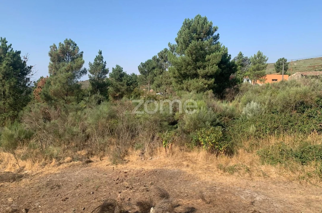 Terreno para Venda em Tavares (Chãs, Várzea e Travanca) Foto 7