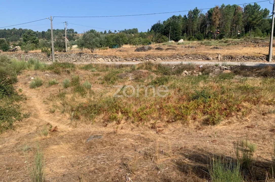 Terreno para Venda em Tavares (Chãs, Várzea e Travanca) Foto 1