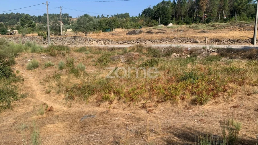 Terreno para Venda em Tavares (Chãs, Várzea e Travanca)