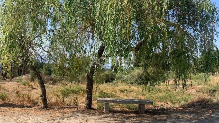 Terreno para Venda em Tavares (Chãs, Várzea e Travanca)