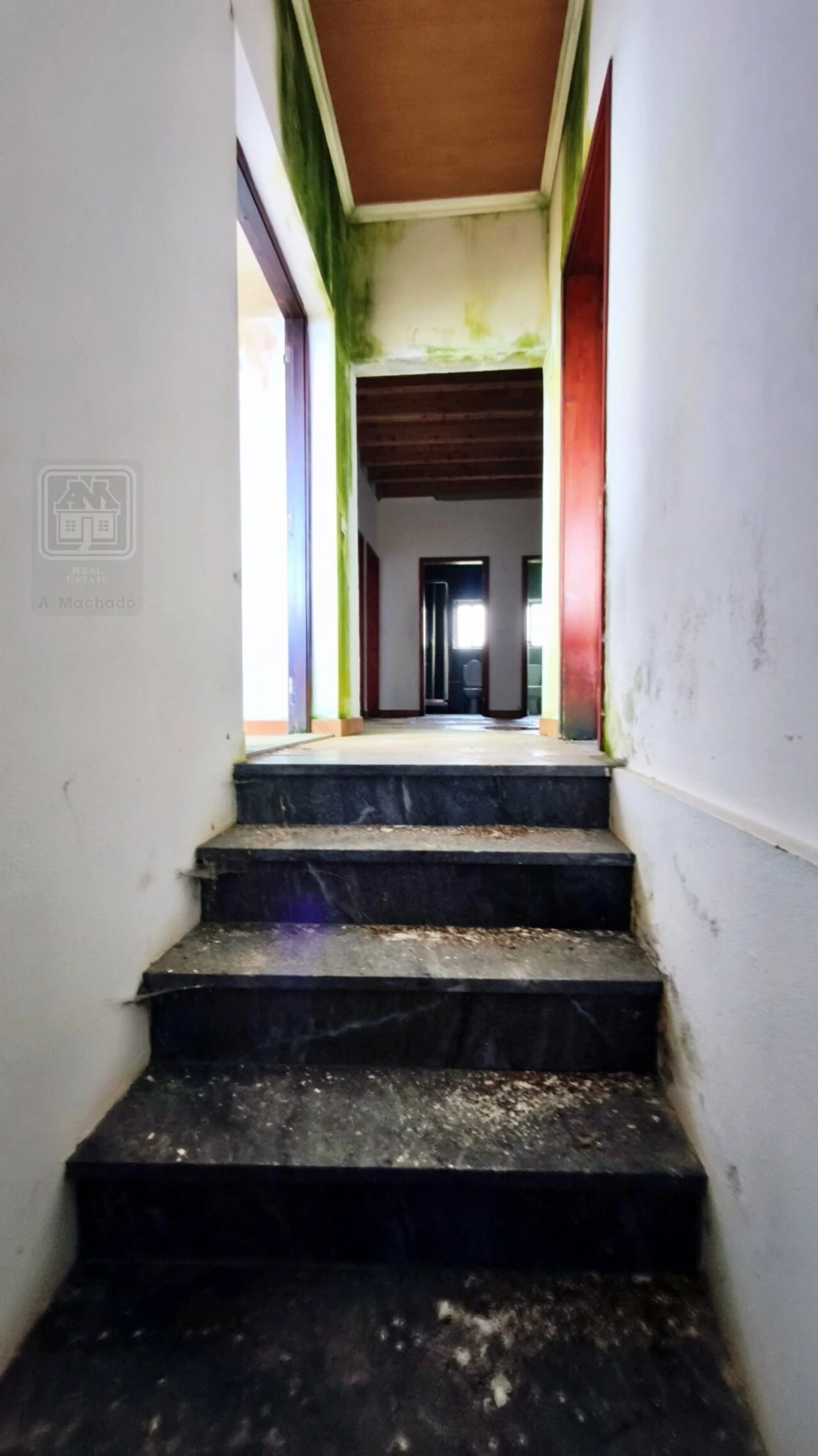 Moradia T6 para Venda em Cedros Foto 22