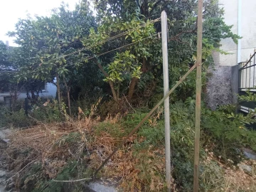 Moradia T9 para Venda em Marvila, Ribeira Santarém, São Salvador, São Nicolau