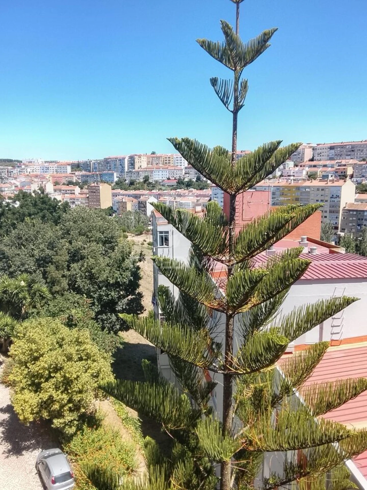 Apartamento T3 para Venda em Massamá e Monte Abraão Foto 11