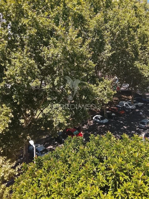 Apartamento T3 para Venda em Massamá e Monte Abraão