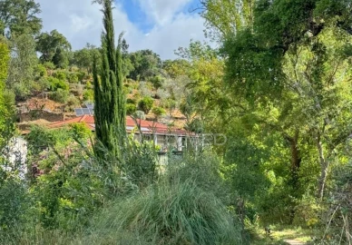 Quinta T3 para Venda em Reliquias