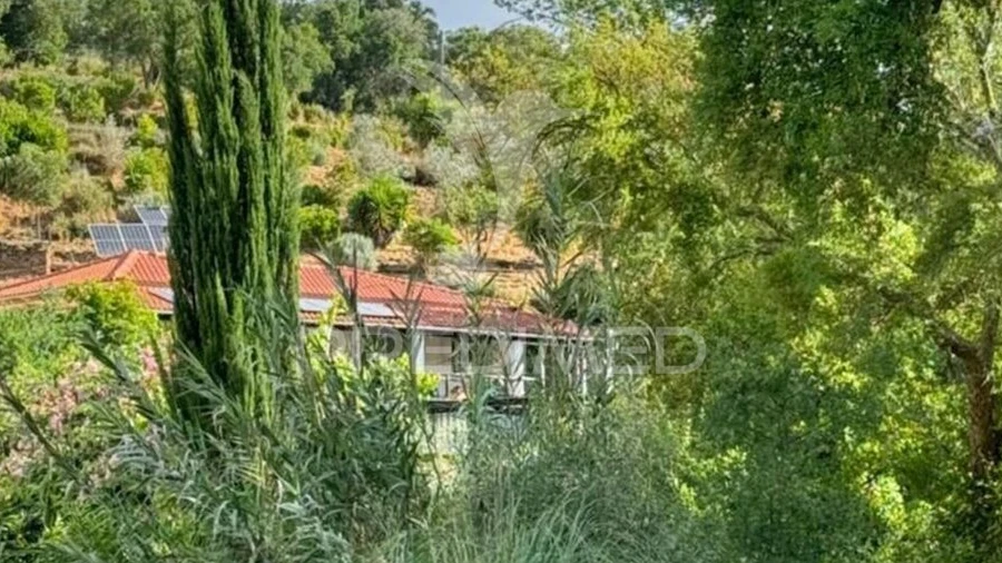 Quinta T3 para Venda em Reliquias