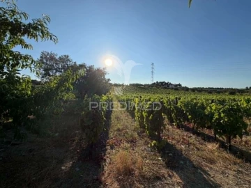 Terreno para Venda em Poiares e Canelas