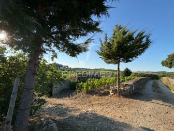 Terreno para Venda em Poiares e Canelas