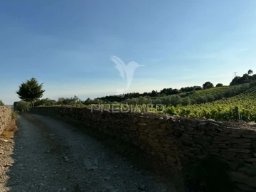 Terreno para Venda em Poiares e Canelas
