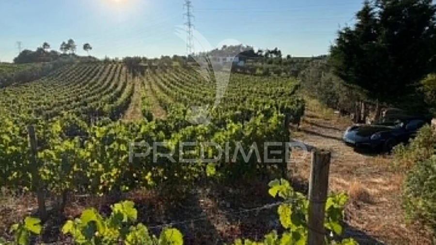 Terreno para Venda em Poiares e Canelas