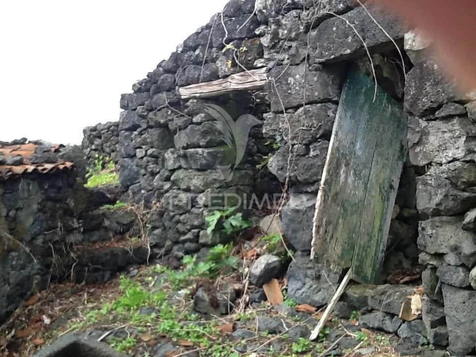 Moradia T2 para Venda em Calheta de Nesquim Foto 8
