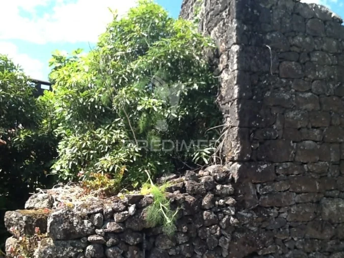 Moradia T2 para Venda em Calheta de Nesquim Foto 6