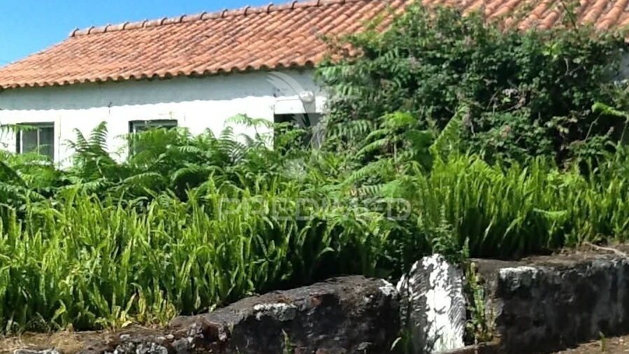 Moradia T2 para Venda em Calheta de Nesquim