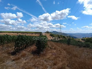 Terreno para Venda em Poiares e Canelas