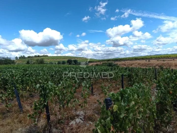 Terreno para Venda em Poiares e Canelas