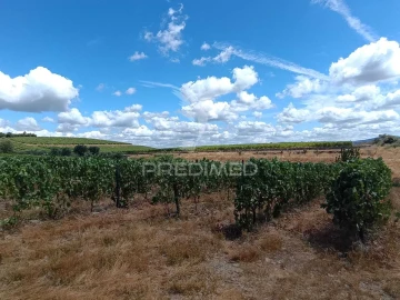 Terreno para Venda em Poiares e Canelas