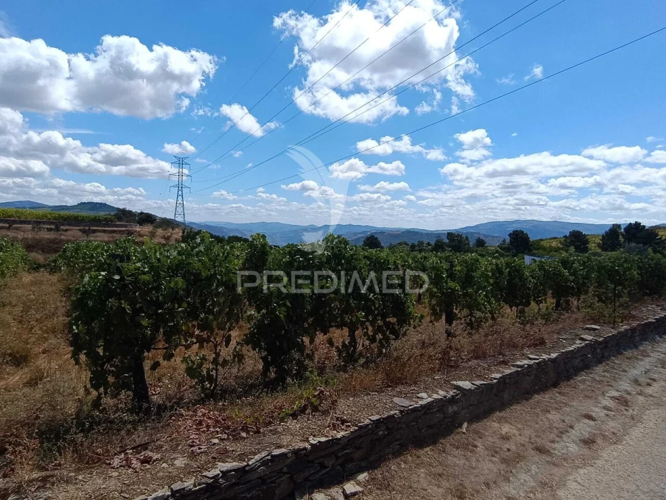 Terreno para Venda em Poiares e Canelas Foto 2