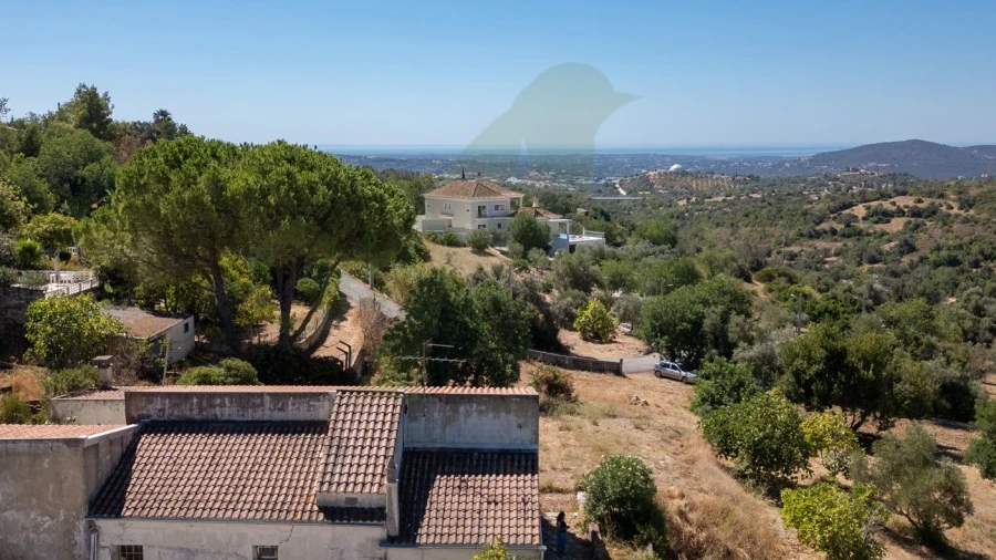 Terreno P/ Prédio para Venda em Loule (São Sebastião)