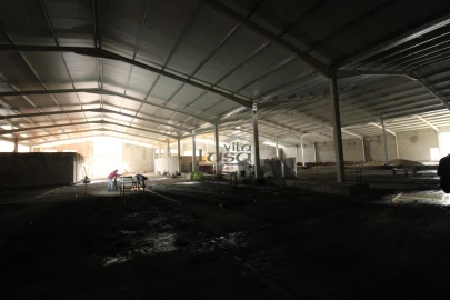 Armazém para Venda em Raiva, Pedorido e Paraíso