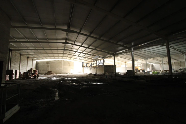 Armazém para Venda em Raiva, Pedorido e Paraíso Foto 3