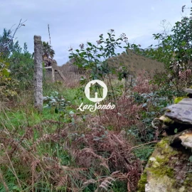 Terreno para Venda em Apúlia e Fão