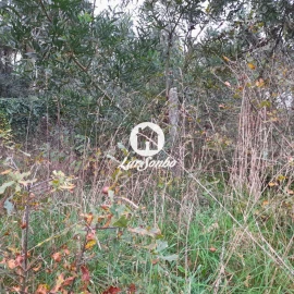 Terreno para Venda em Apúlia e Fão