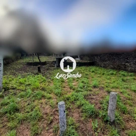 Terreno para Venda em Apúlia e Fão