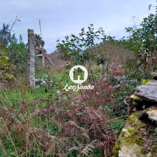 Terreno para Venda em Apúlia e Fão Foto 5