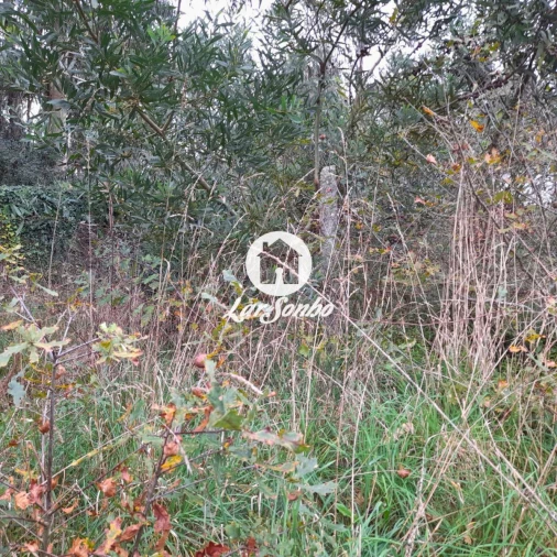Terreno para Venda em Apúlia e Fão Foto 6