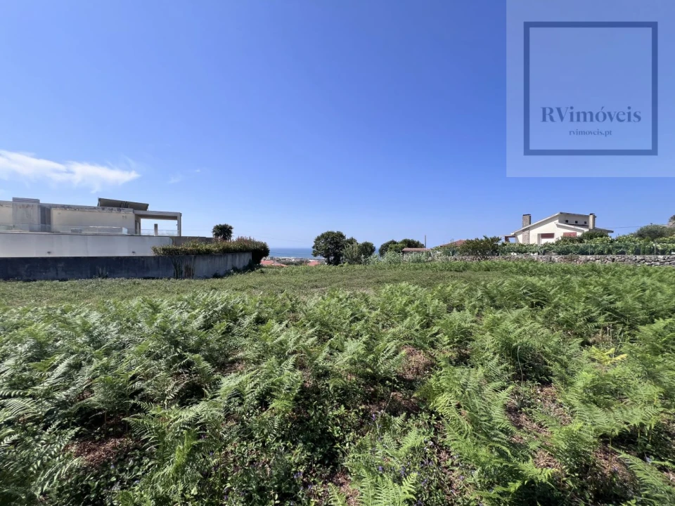 Terreno para Venda em Carreço Foto 17