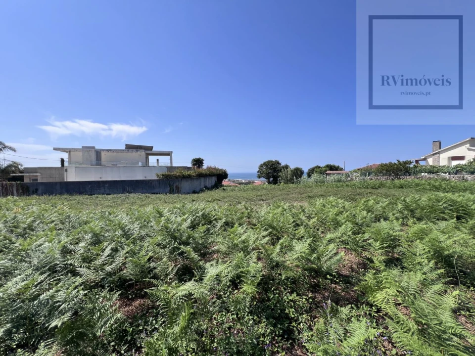 Terreno para Venda em Carreço Foto 19