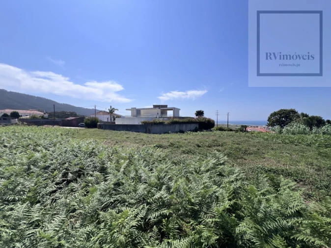 Terreno para Venda em Carreço Foto 14