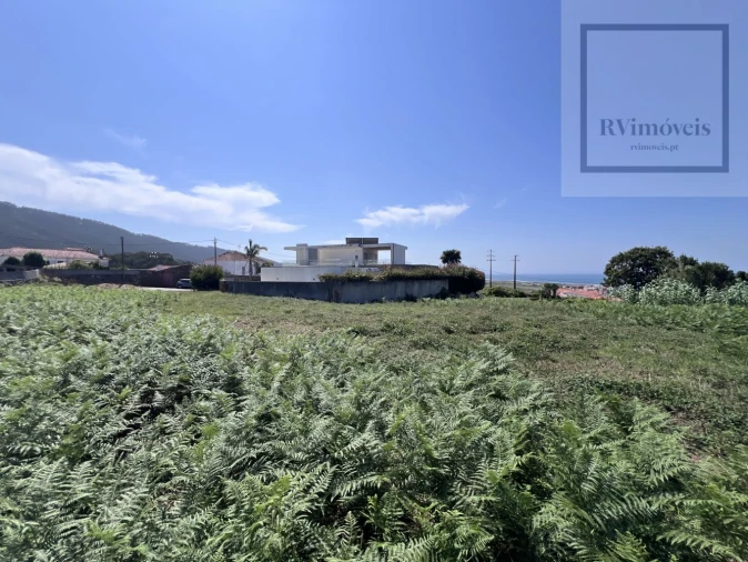 Terreno para Venda em Carreço Foto 14