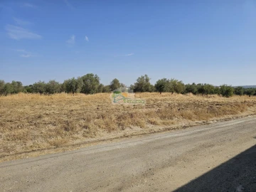 Terreno para Venda em Reguengos de Monsaraz