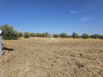 Terreno para Venda em Reguengos de Monsaraz