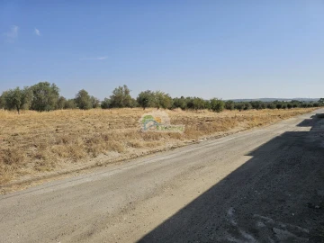 Terreno para Venda em Reguengos de Monsaraz