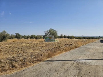Terreno para Venda em Reguengos de Monsaraz
