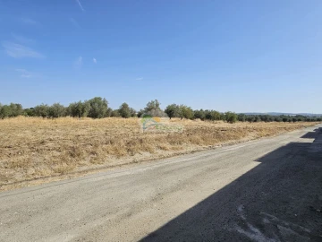 Terreno para Venda em Reguengos de Monsaraz