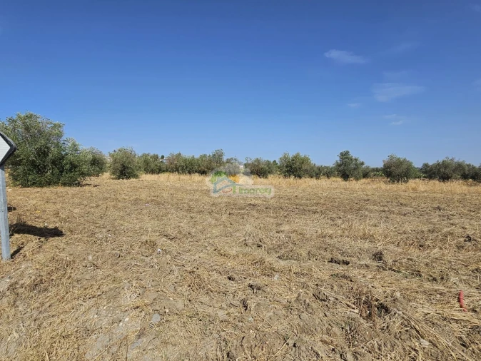 Terreno para Venda em Reguengos de Monsaraz Foto 8