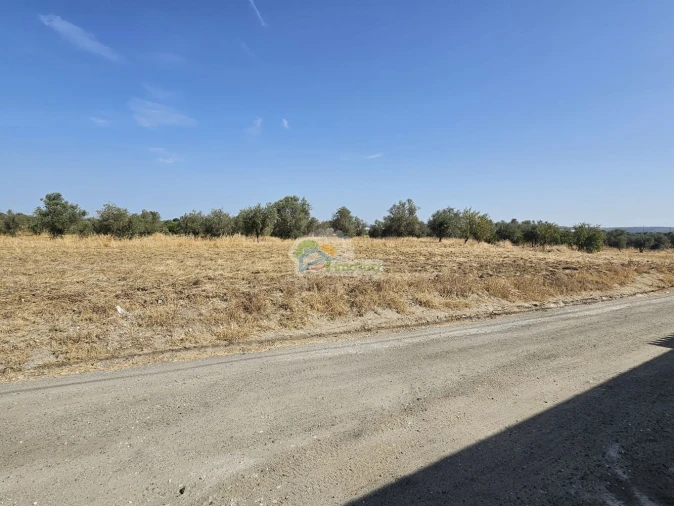 Terreno para Venda em Reguengos de Monsaraz Foto 7