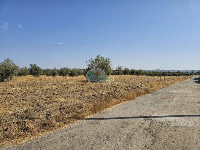 Terreno para Venda em Reguengos de Monsaraz Foto 3