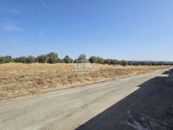 Terreno para Venda em Reguengos de Monsaraz Foto 6