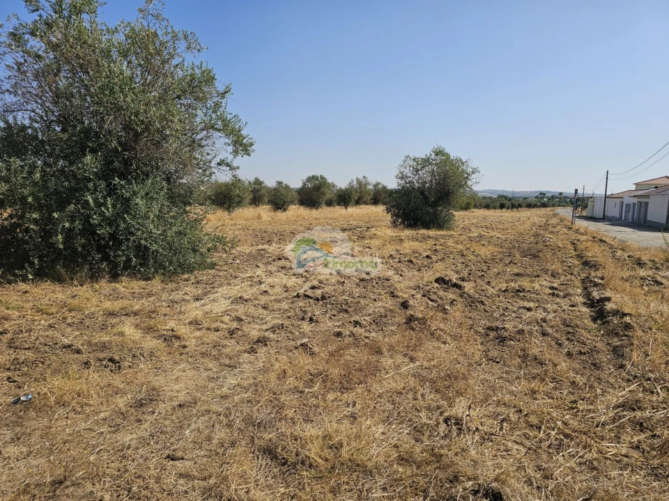 Terreno para Venda em Reguengos de Monsaraz Foto 2