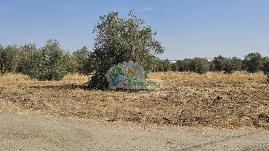 Terreno para Venda em Reguengos de Monsaraz