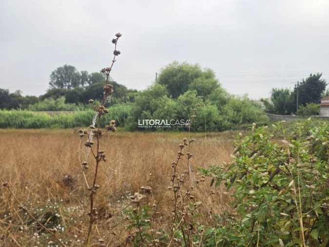 Terreno para Venda em Aradas Foto 16