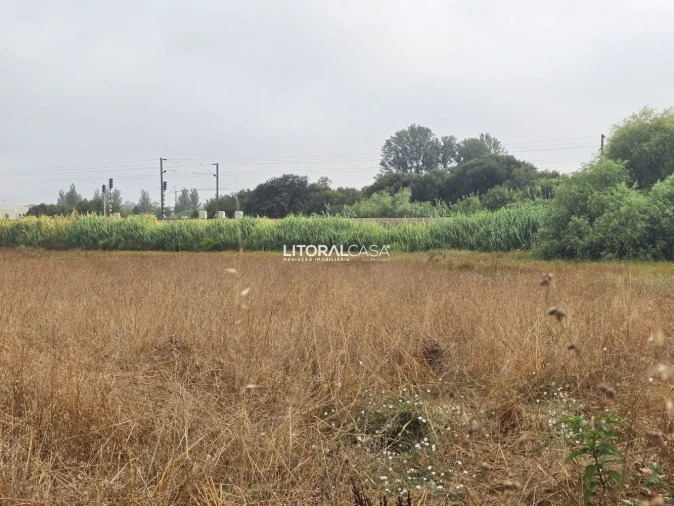 Terreno para Venda em Aradas Foto 15