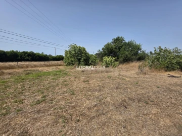 Quinta T0 para Venda em Vila Nova de Milfontes