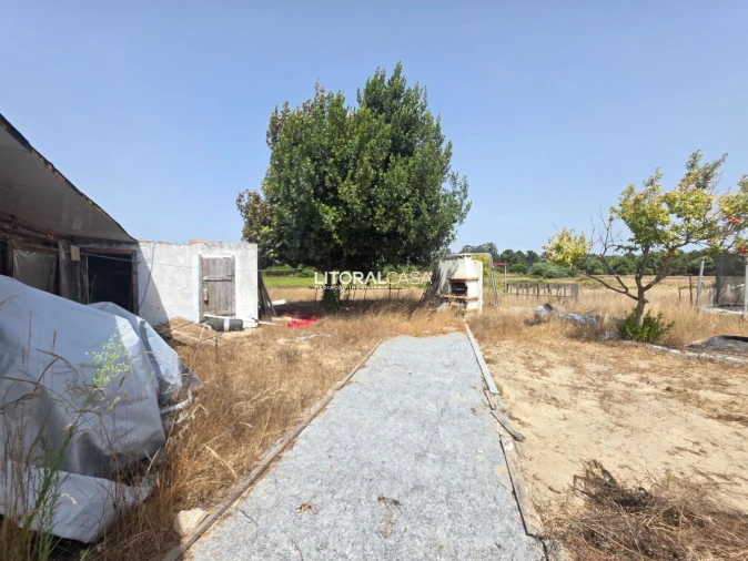 Quinta T0 para Venda em Vila Nova de Milfontes Foto 35